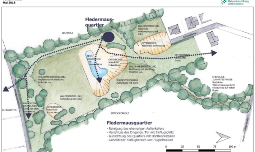 Umbau eines Bunkers zu einem Fledermausquartier – Ingrid und Wilfried Hoppe-Stiftung Naturschutz